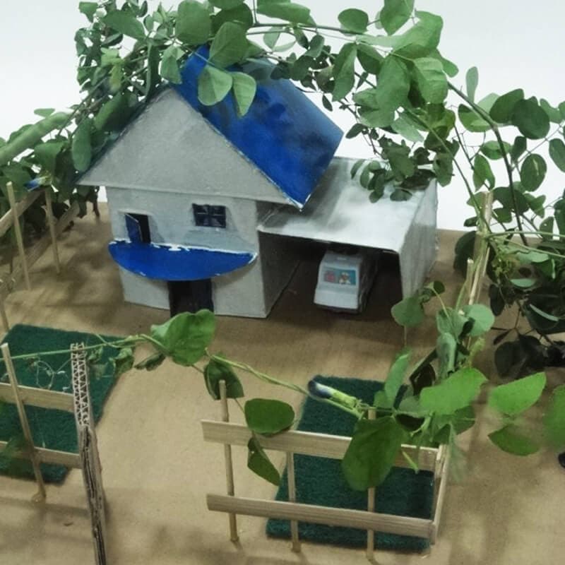 cardboard house 4