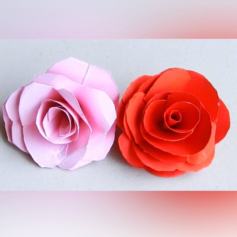 paper rose 26